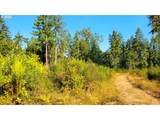  Hunter Rd - Photo 11