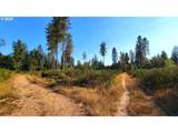  Hunter Rd - Photo 12