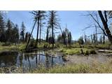 54432 Mckenzie Hwy - Photo 6