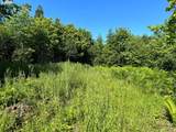  Fargher Dr - Photo 13