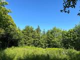  Fargher Dr - Photo 16
