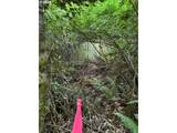 Fargher Dr - Photo 18