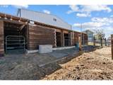 71049 Arabian Dr - Photo 14