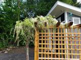 379 18 Collins Rd - Photo 6