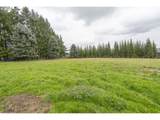 11650 Red Hills Rd - Photo 42