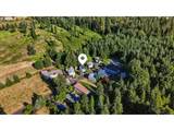 35544 Aqua Springs Rd - Photo 11