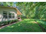 41886 Deerhorn Rd - Photo 41