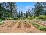 13226 Cliffside Dr - Photo 35
