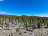  Ginger Way - Photo 8
