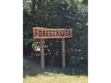 15634 Fawn View Way - Photo 6
