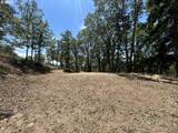 34 Jewett Creek Loop Rd - Photo 10
