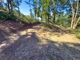34 Jewett Creek Loop Rd - Photo 11