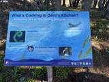  Beach Loop Rd - Photo 4