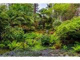 3210 Inspiration Point Dr - Photo 10