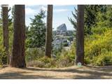 34835 Hill St - Photo 22