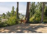34835 Hill St - Photo 27