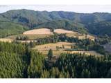 17867 Highway 42 - Photo 44