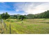 17867 Highway 42 - Photo 6