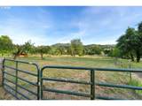 17867 Highway 42 - Photo 7