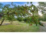 17867 Highway 42 - Photo 8
