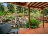 11046 Winstanley Dr - Photo 37