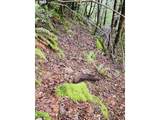 0 Elk River Rd - Photo 12
