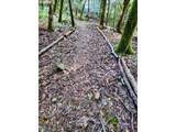 0 Elk River Rd - Photo 19