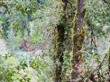 0 Elk River Rd - Photo 22