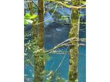 0 Elk River Rd - Photo 30