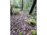 0 Elk River Rd - Photo 8