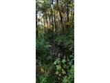 31917 Brooks Rd - Photo 1
