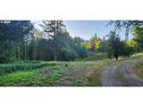 31917 Brooks Rd - Photo 4