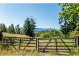  Jones Dr - Photo 5