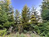 High Pass Rd - Photo 31