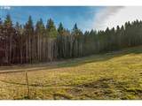  Silverwood Dr - Photo 3