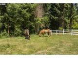 3296 Alsea Hwy - Photo 33