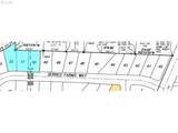 16084 Serres Farms Way - Photo 4