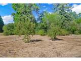 93099 Marcola Rd - Photo 32