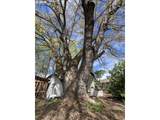 82807 Highway 216 - Photo 2