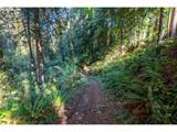 724 Ostrander Rd - Photo 37
