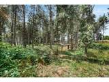 5911 Briar Patch Ln - Photo 42