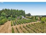 5911 Briar Patch Ln - Photo 47