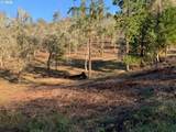 1 Pearce Rd - Photo 13