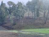 1 Pearce Rd - Photo 3