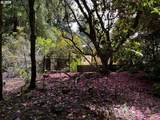 83411 Clear Lake Rd - Photo 41