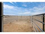 24585 Dodds Rd - Photo 6