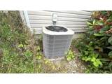 10082 Lone Pine Ln - Photo 19
