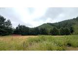 10082 Lone Pine Ln - Photo 9