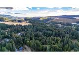 25800 Rein Rd - Photo 48