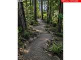 4520 Calaroga Dr - Photo 40